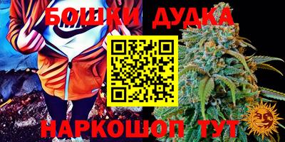 спиды Бузулук