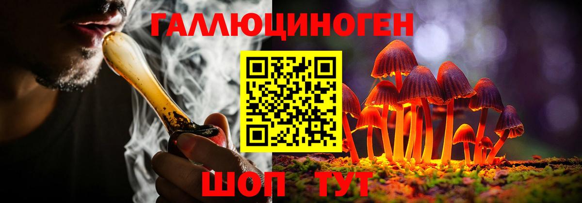 Галлюциногенные грибы Cubensis  Вход с VPN  Куйбышев 